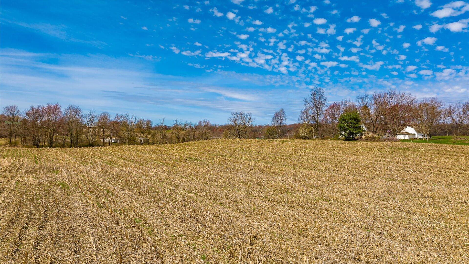 Township Rd 364, New Lexington, Ohio image 14
