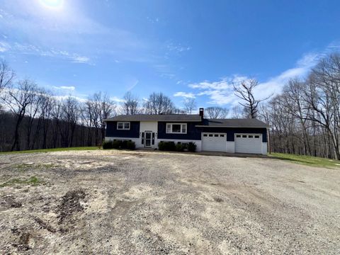 Photo of 7305 Dietrick Hill Road, Philo, OH 43771 (MLS # 226009703)