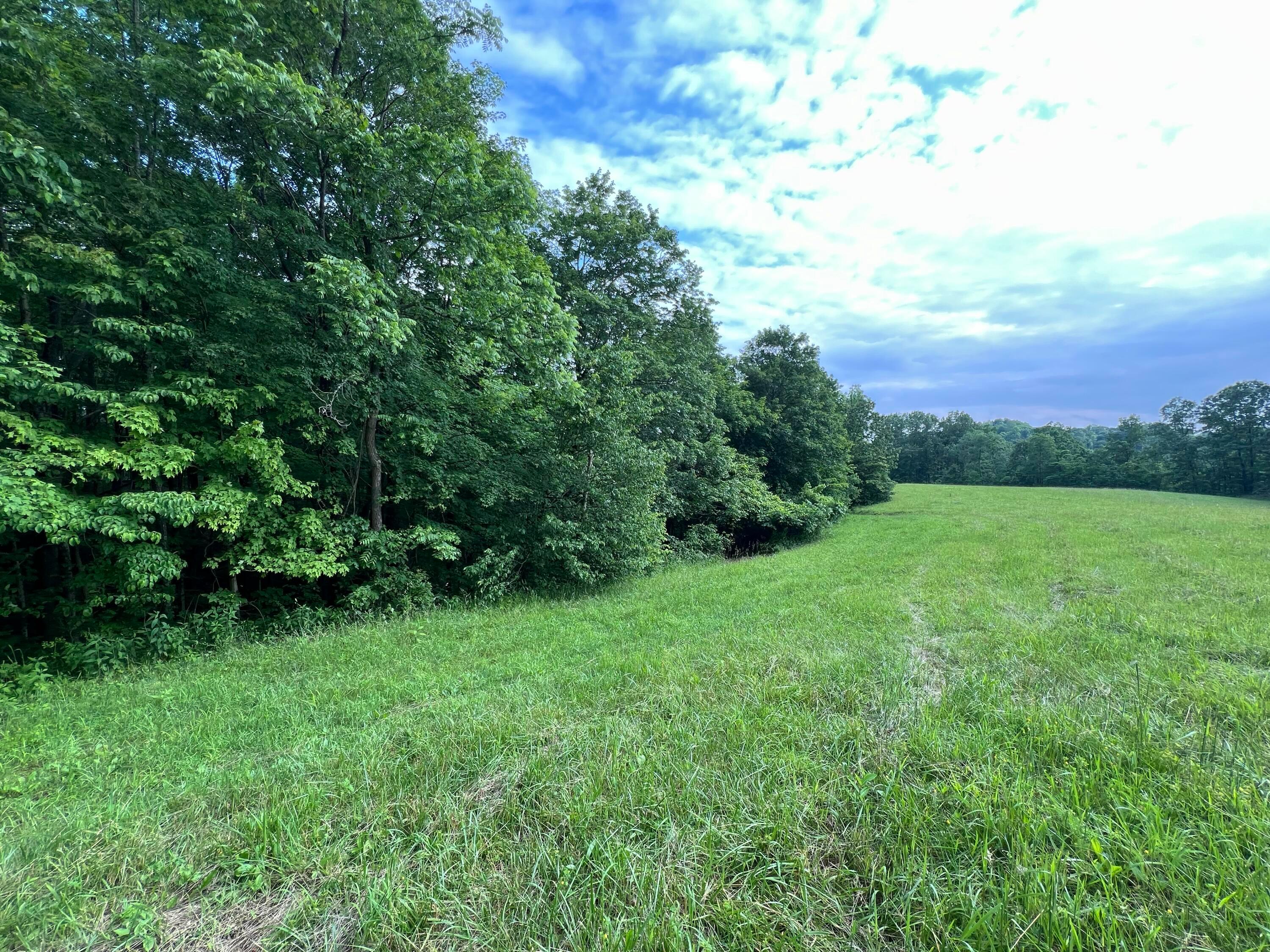 1565 Back Run Road, Philo, Ohio image 1