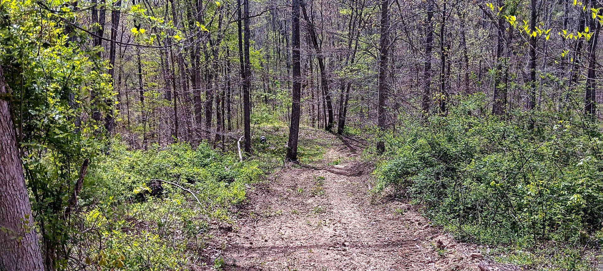 37 Garland Creek Road #CROWN WILDLIFE TRACT 4, Crown City, Ohio image 17