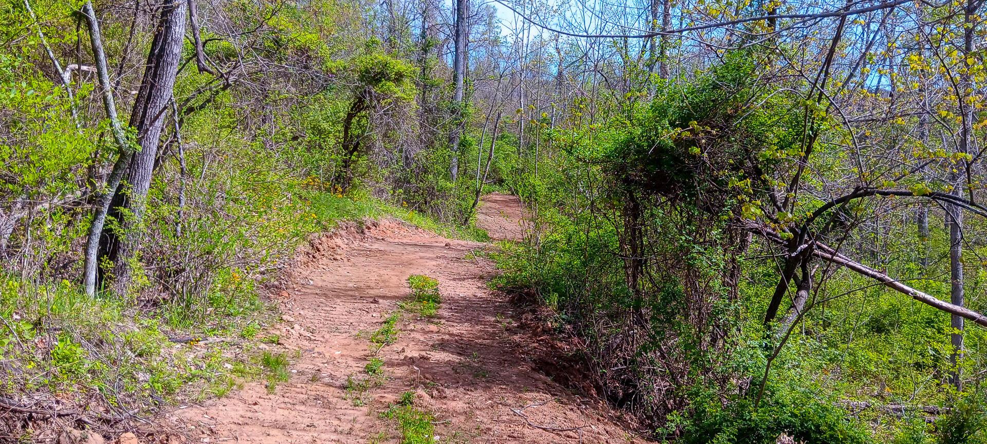 37 Garland Creek Road #CROWN WILDLIFE TRACT 4, Crown City, Ohio image 16