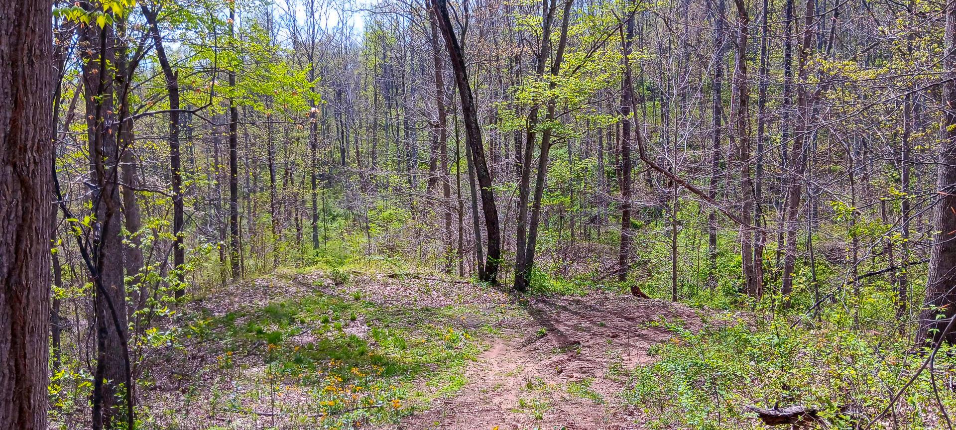 37 Garland Creek Road #CROWN WILDLIFE TRACT 4, Crown City, Ohio image 19
