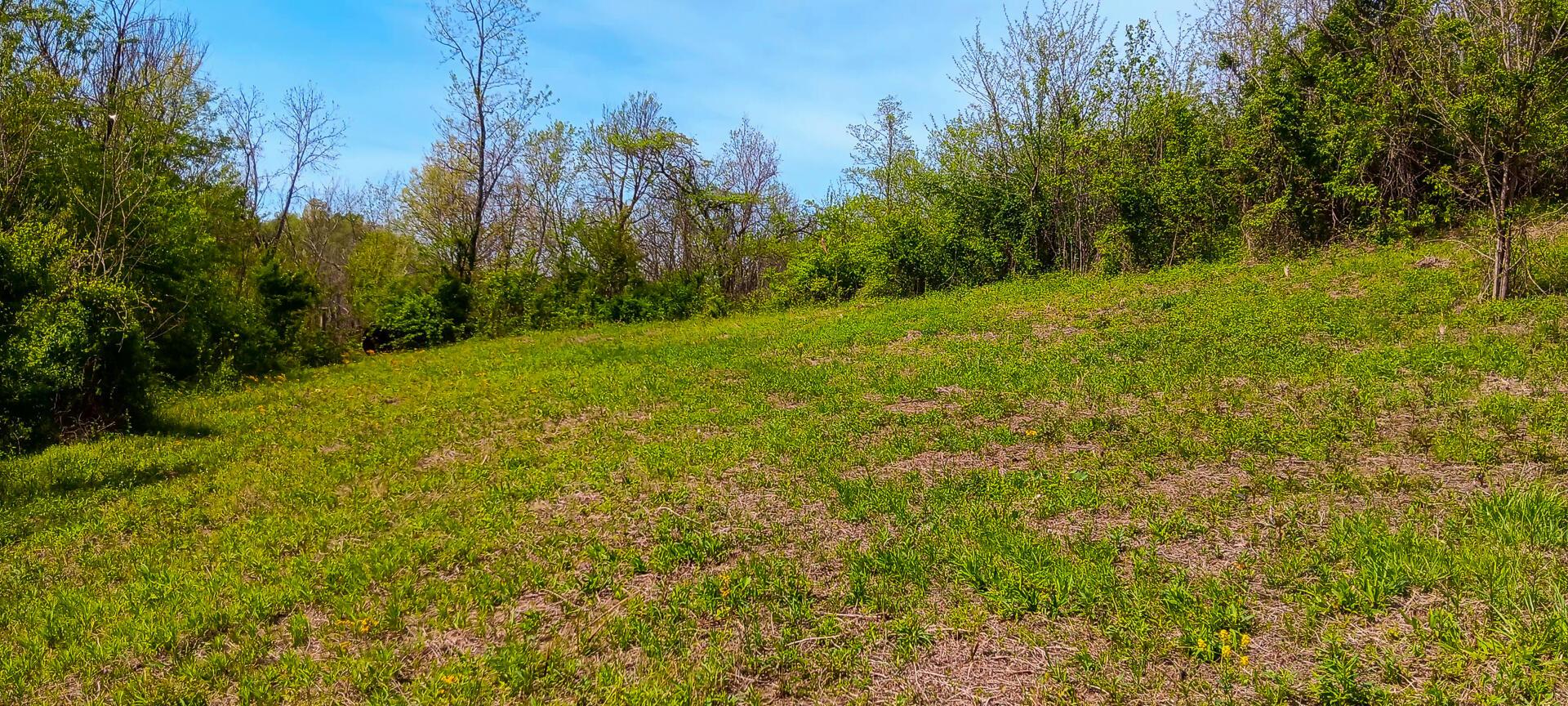 37 Garland Creek Road #CROWN WILDLIFE TRACT 4, Crown City, Ohio image 8