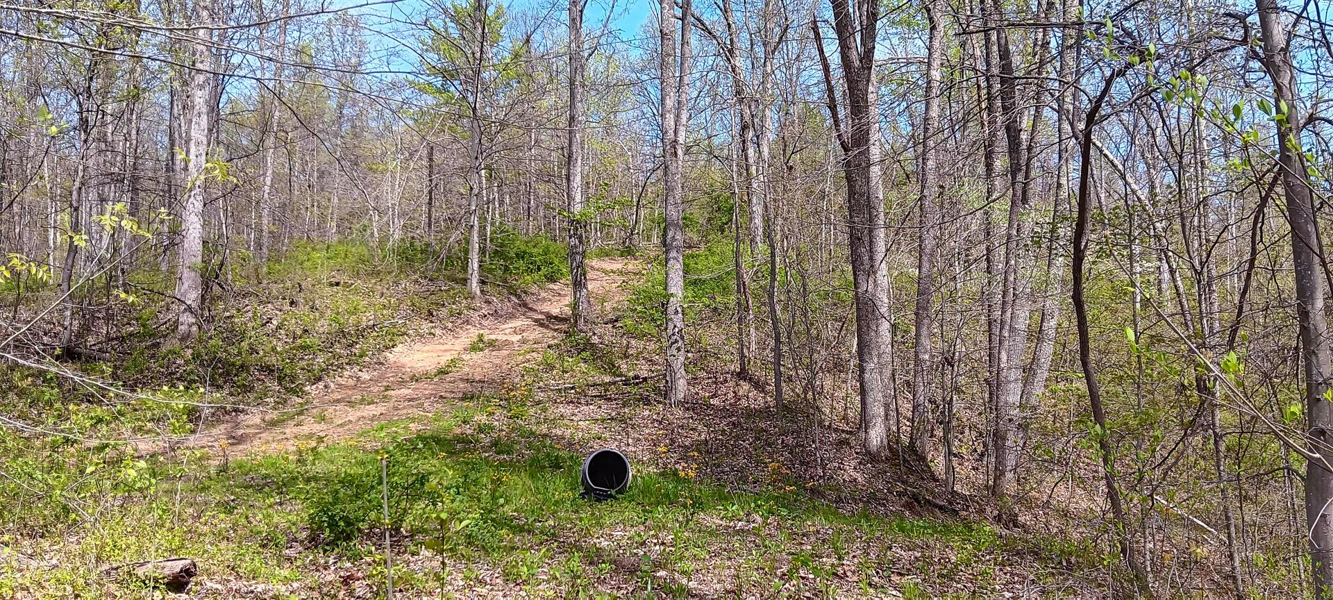 37 Garland Creek Road #CROWN WILDLIFE TRACT 4, Crown City, Ohio image 25