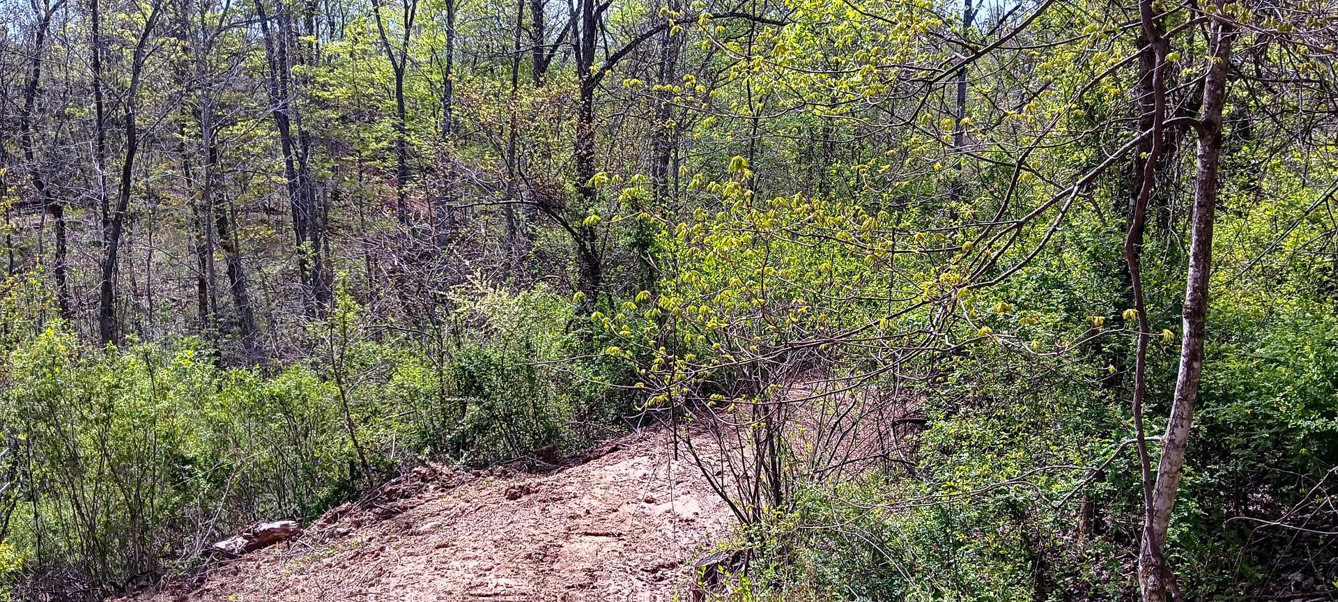 37 Garland Creek Road #CROWN WILDLIFE TRACT 4, Crown City, Ohio image 11