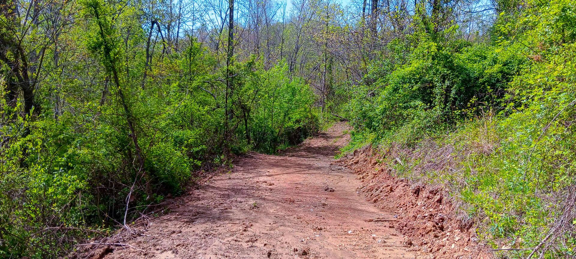 37 Garland Creek Road #CROWN WILDLIFE TRACT 4, Crown City, Ohio image 13