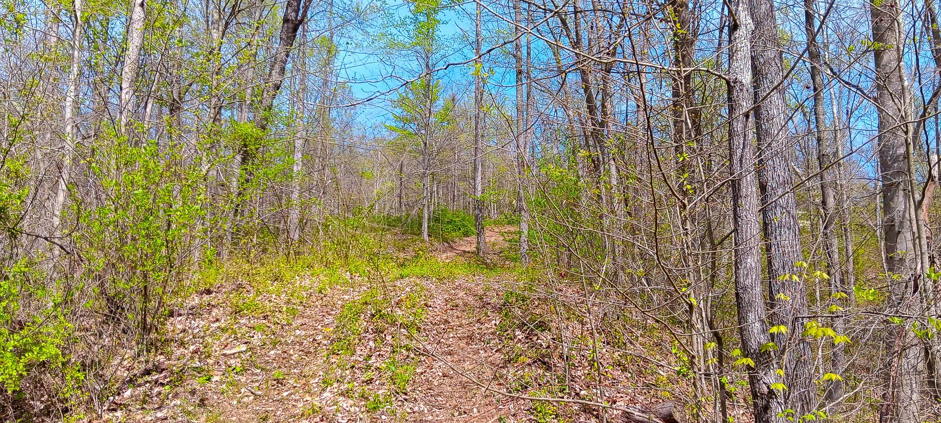 37 Garland Creek Road #CROWN WILDLIFE TRACT 4, Crown City, Ohio image 23