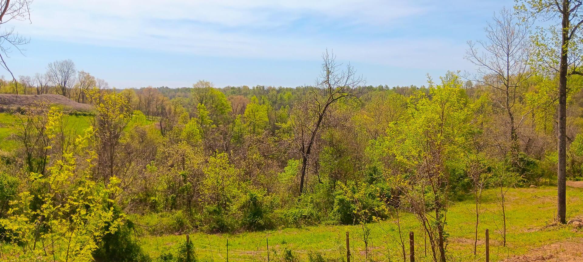 37 Garland Creek Road #CROWN WILDLIFE TRACT 4, Crown City, Ohio image 5