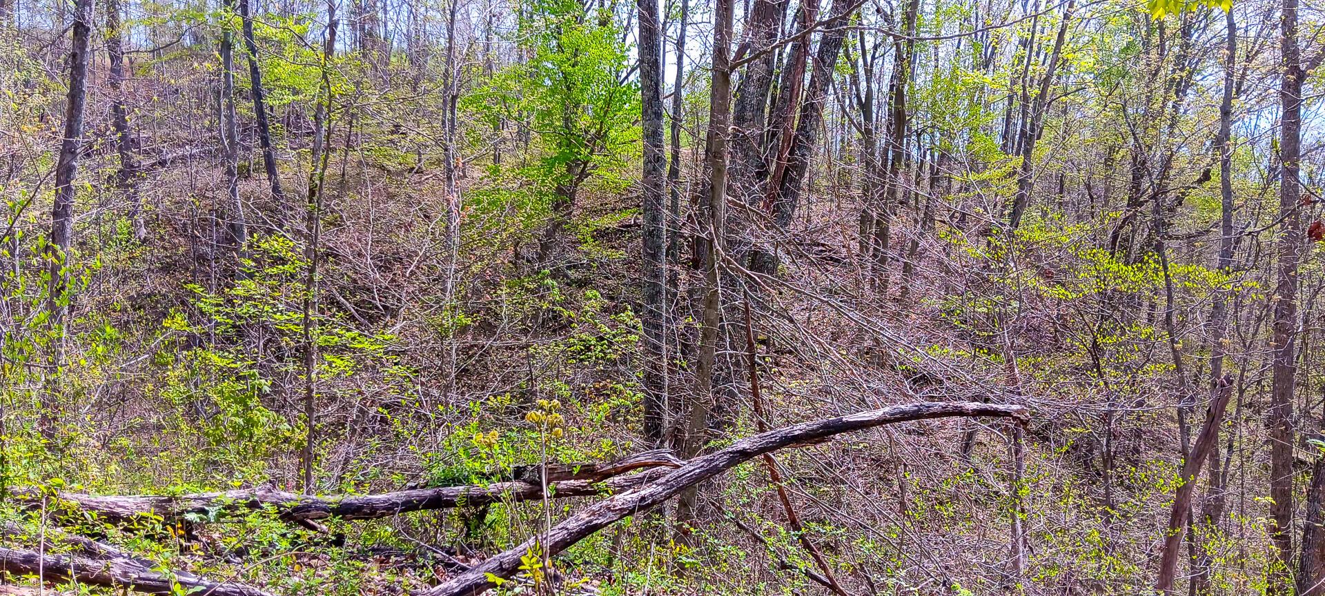 37 Garland Creek Road #CROWN WILDLIFE TRACT 4, Crown City, Ohio image 20