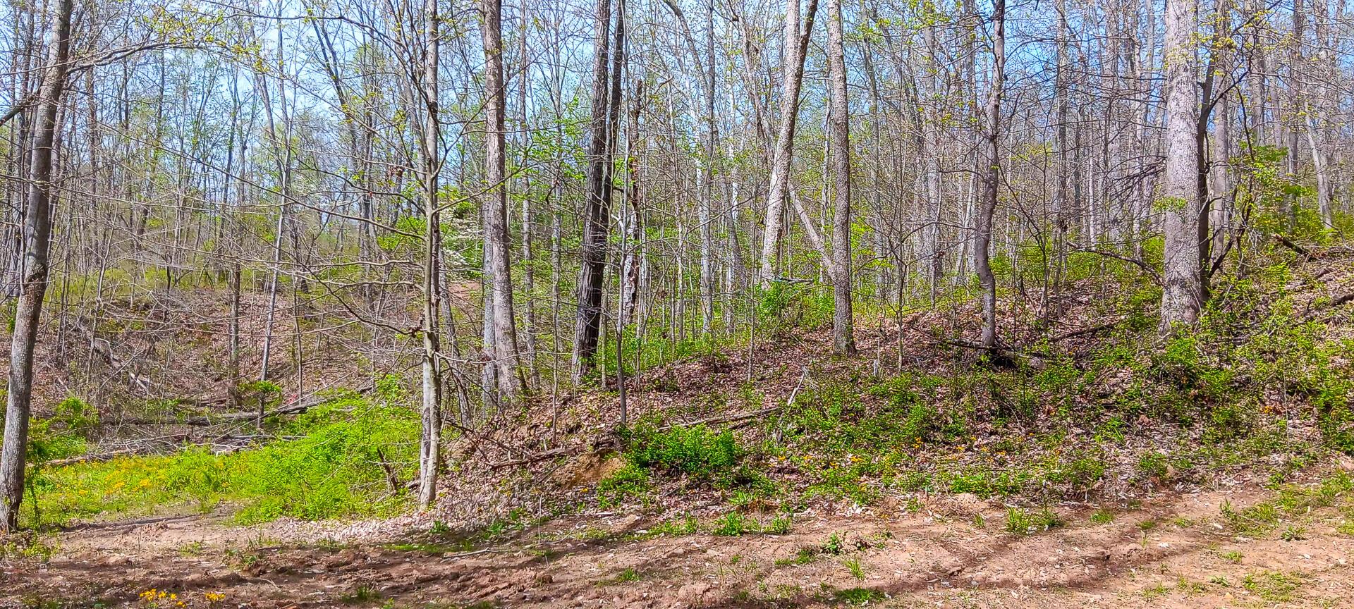37 Garland Creek Road #CROWN WILDLIFE TRACT 4, Crown City, Ohio image 27