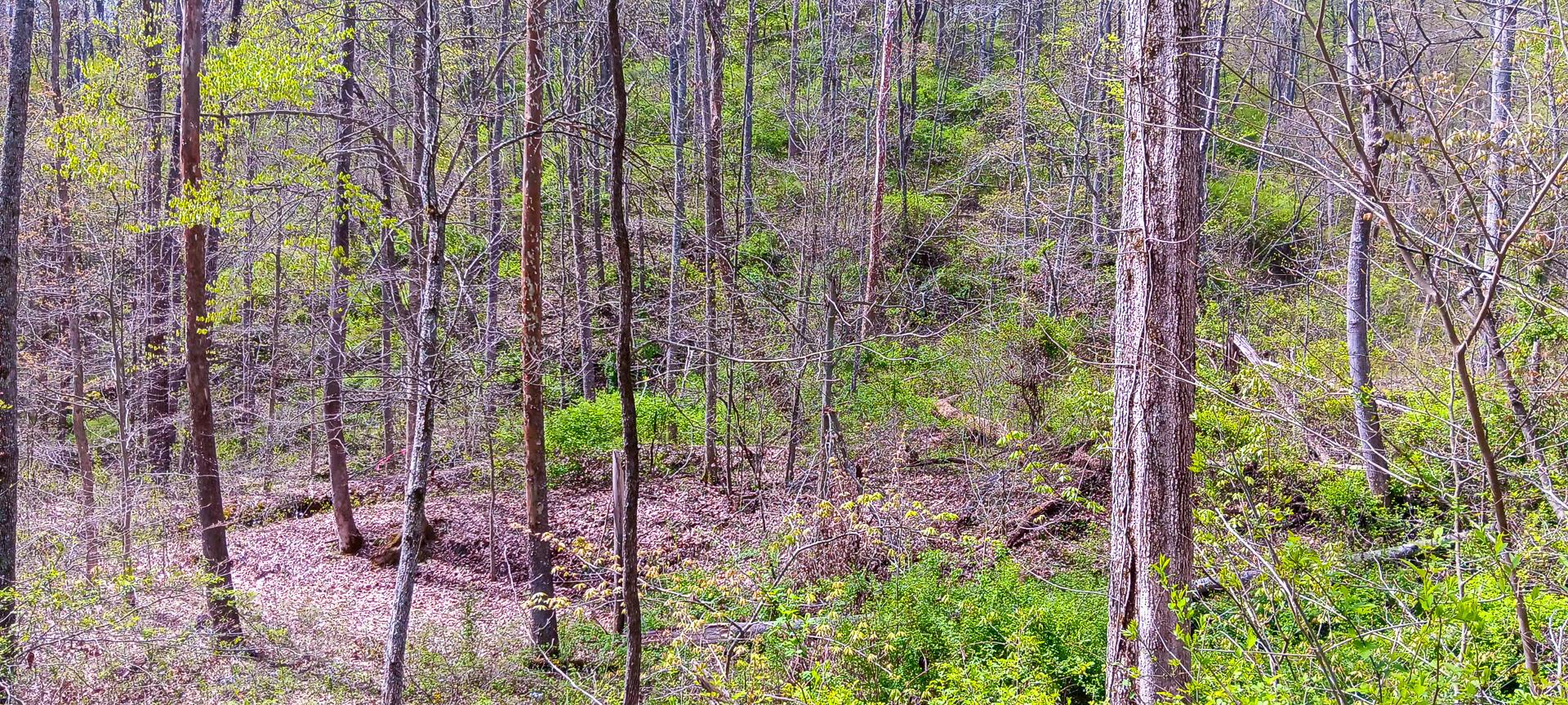 37 Garland Creek Road #CROWN WILDLIFE TRACT 4, Crown City, Ohio image 21