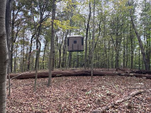 Tiny photo for 710 Apel Road, Franklin Furnace, OH 45629 (MLS # 225039625)
