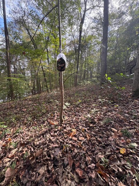 Tiny photo for 710 Apel Road, Franklin Furnace, OH 45629 (MLS # 225039625)