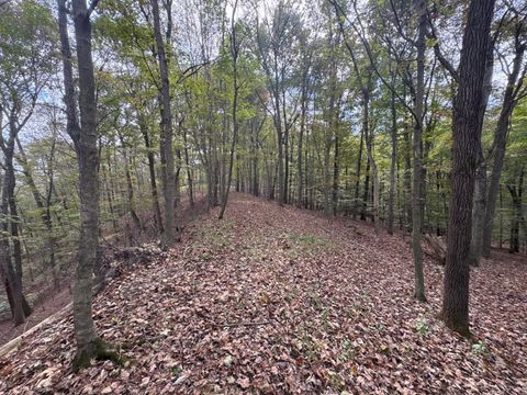 Tiny photo for 710 Apel Road, Franklin Furnace, OH 45629 (MLS # 225039625)