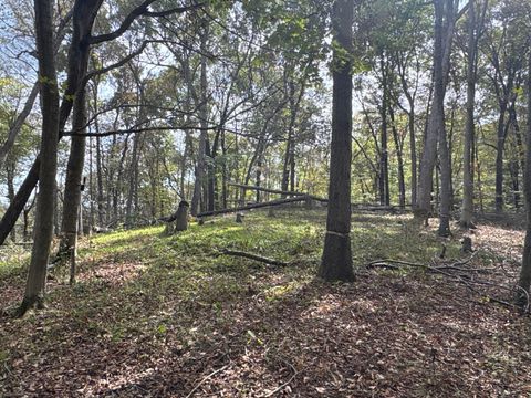 Tiny photo for 710 Apel Road, Franklin Furnace, OH 45629 (MLS # 225039625)