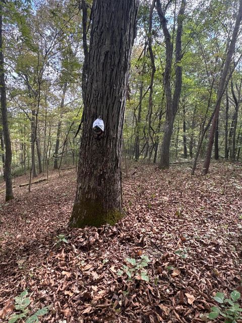 Tiny photo for 710 Apel Road, Franklin Furnace, OH 45629 (MLS # 225039625)
