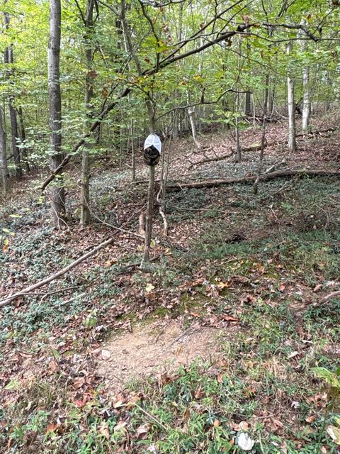 Tiny photo for 710 Apel Road, Franklin Furnace, OH 45629 (MLS # 225039625)
