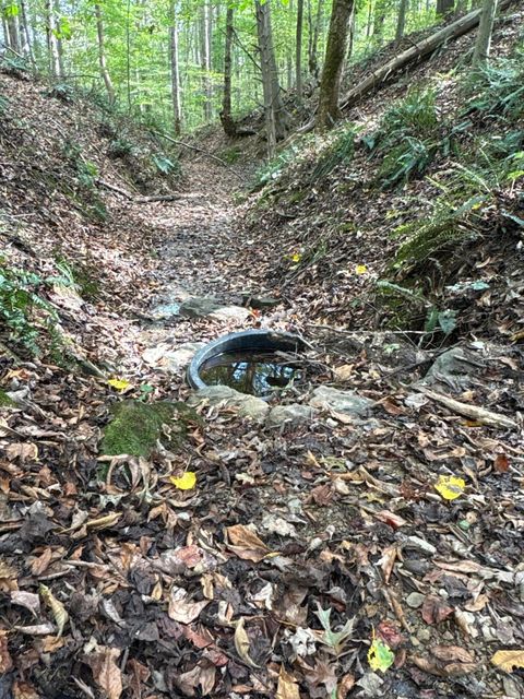 Tiny photo for 710 Apel Road, Franklin Furnace, OH 45629 (MLS # 225039625)