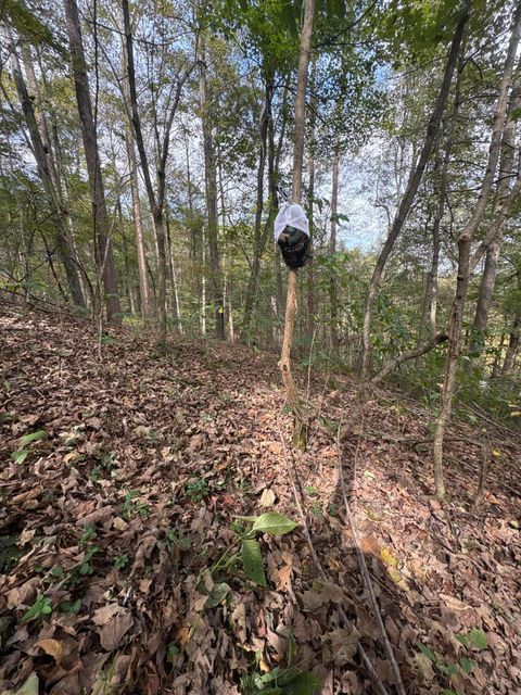 Tiny photo for 710 Apel Road, Franklin Furnace, OH 45629 (MLS # 225039625)