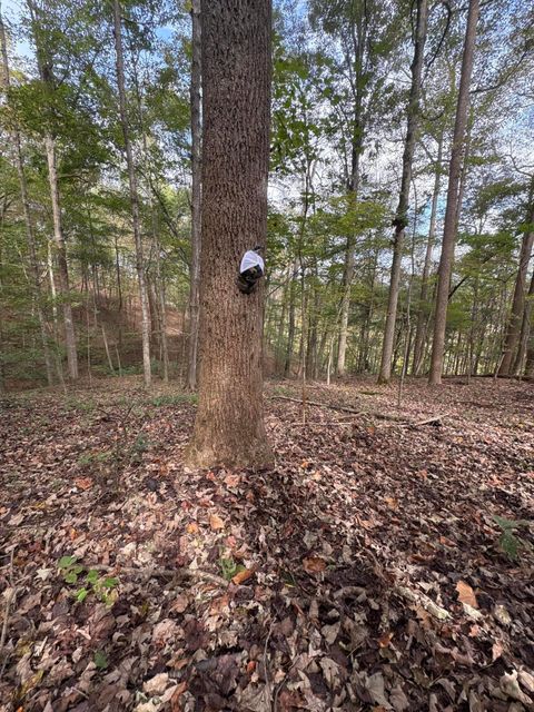 Tiny photo for 710 Apel Road, Franklin Furnace, OH 45629 (MLS # 225039625)