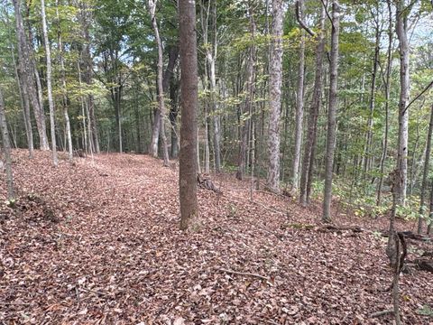 Tiny photo for 710 Apel Road, Franklin Furnace, OH 45629 (MLS # 225039625)