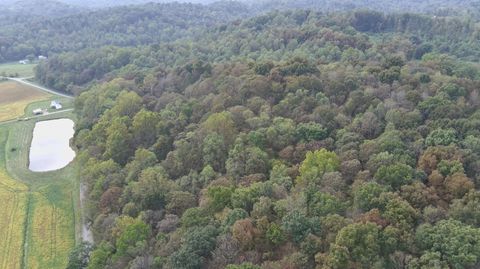 Tiny photo for 710 Apel Road, Franklin Furnace, OH 45629 (MLS # 225039625)