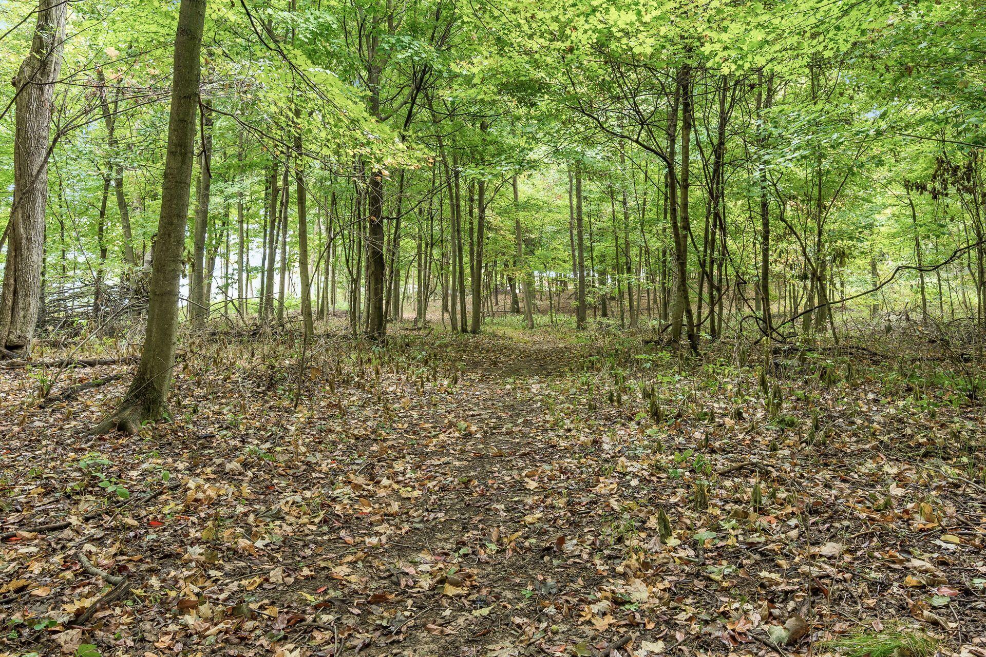 16131 Divelbiss Road, Mount Vernon, Ohio image 18