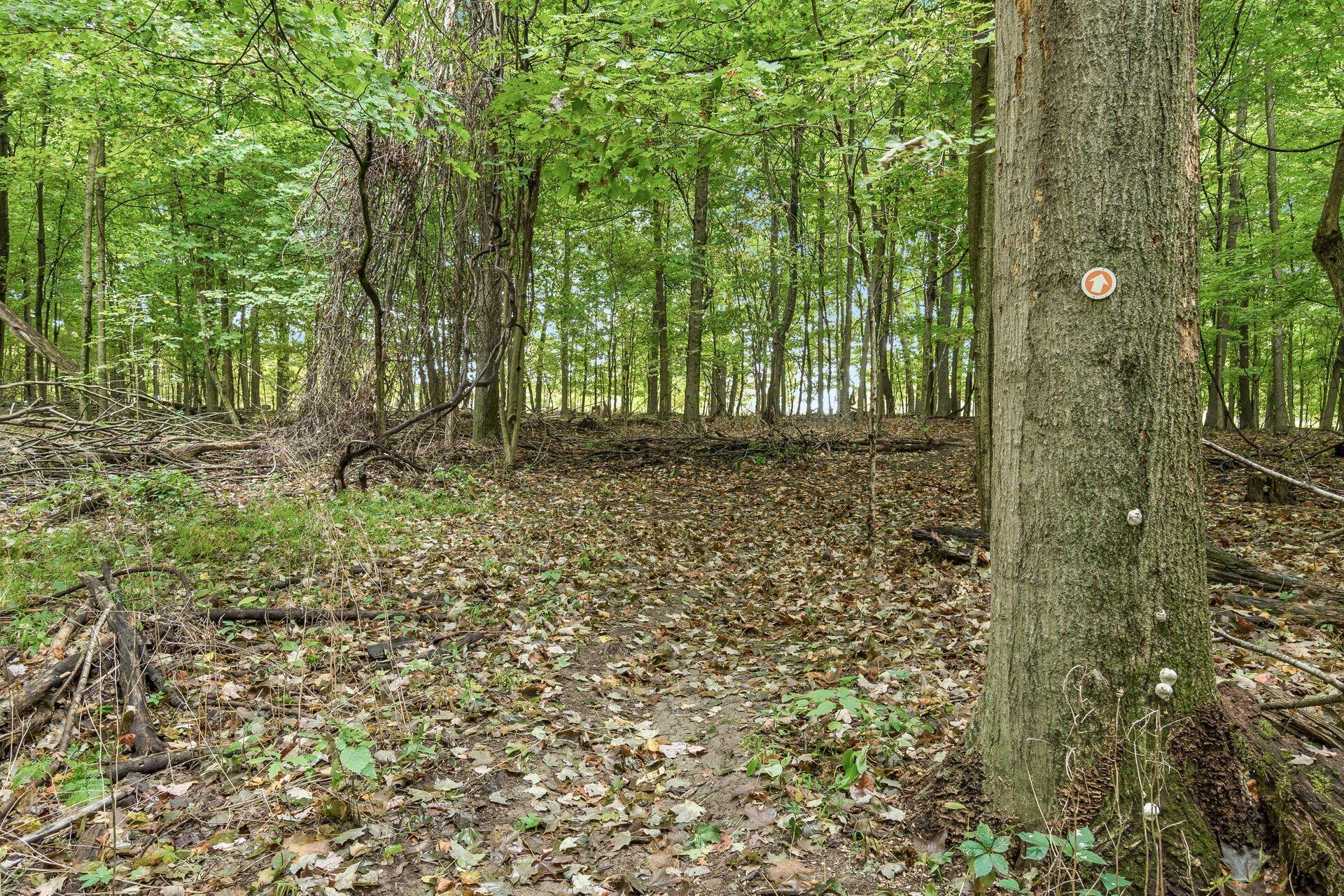 16131 Divelbiss Road, Mount Vernon, Ohio image 17