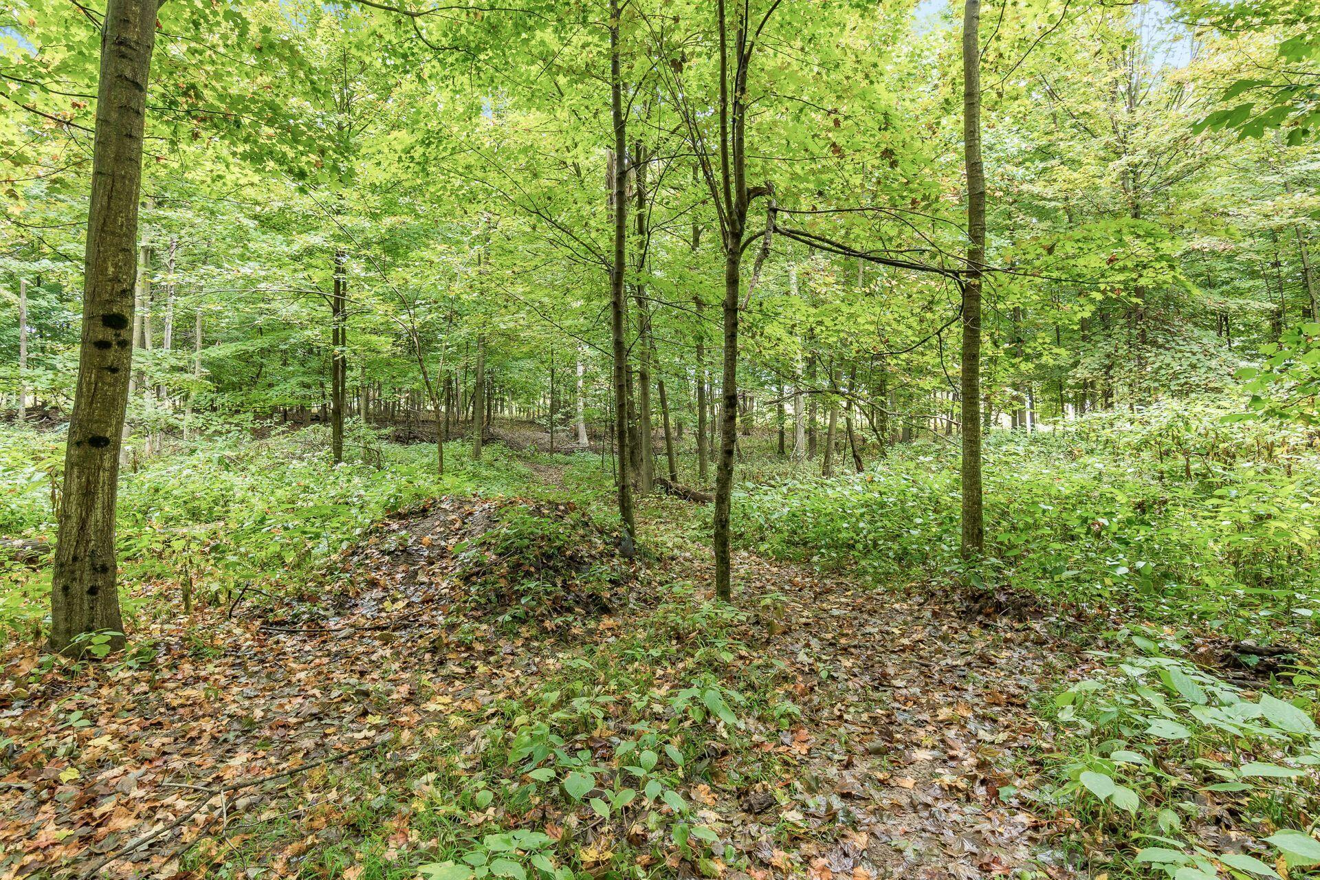 16131 Divelbiss Road, Mount Vernon, Ohio image 15