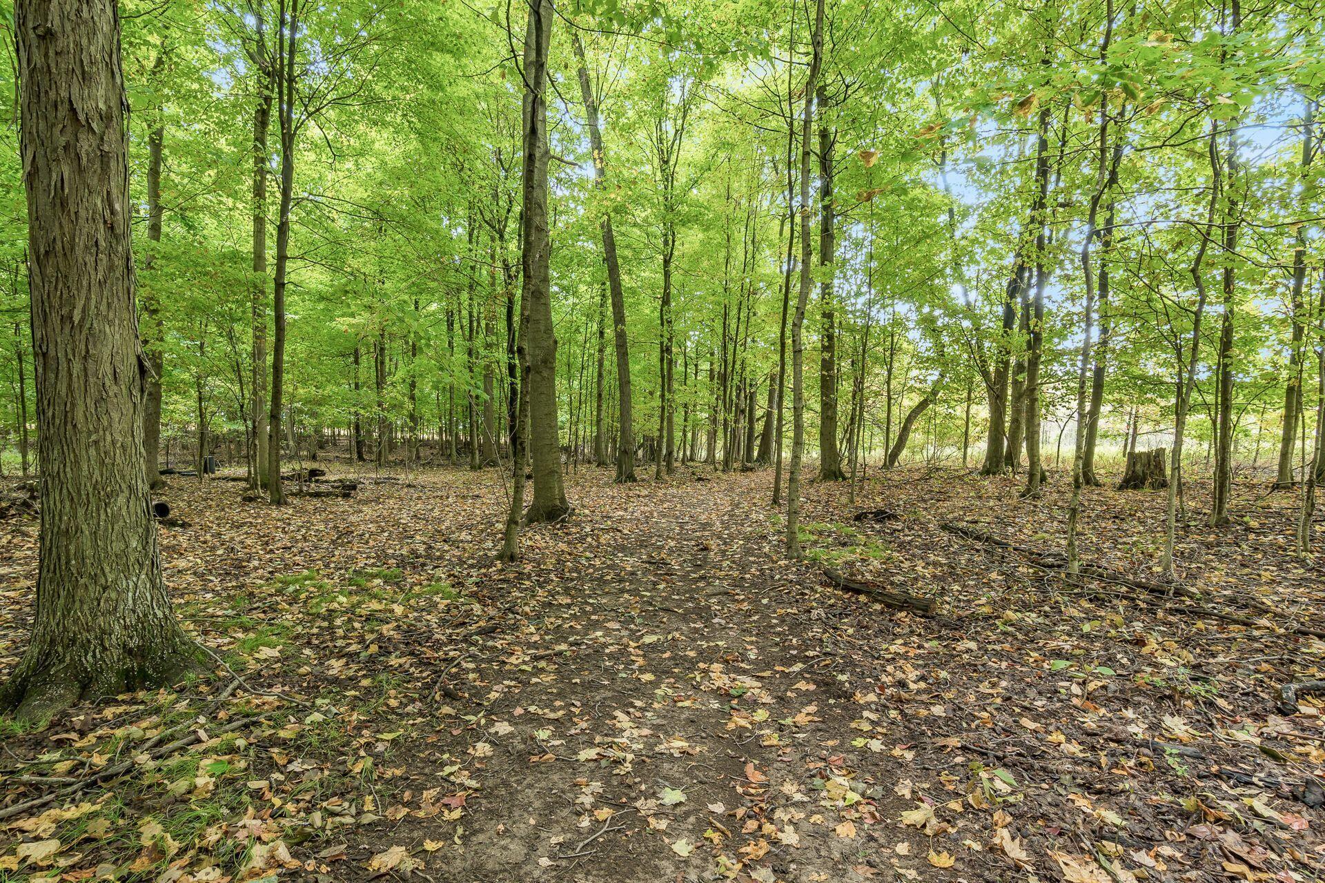 16131 Divelbiss Road, Mount Vernon, Ohio image 19