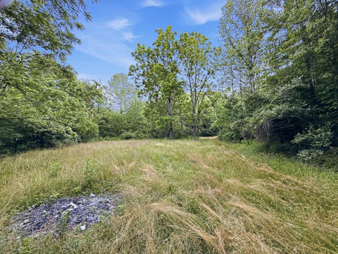 Vacant Land For Sale - State Route 140<br/> South Webster, OH 45682