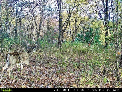 Photo of 334 State Route 314, Centerburg, OH 43011 (MLS # 225024131) Photo of 334 State Route 314, Centerburg, OH 43011 (MLS # 225024131)