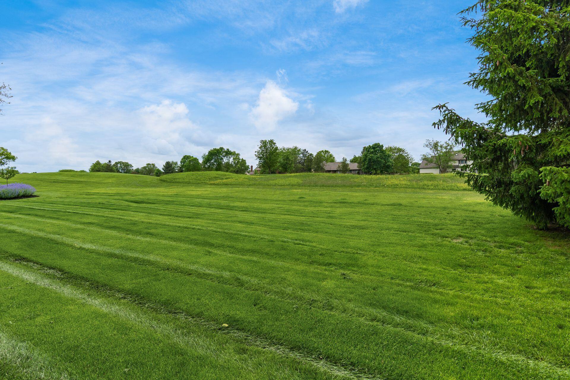 8809 Finlarig Drive, Dublin, Ohio image 40