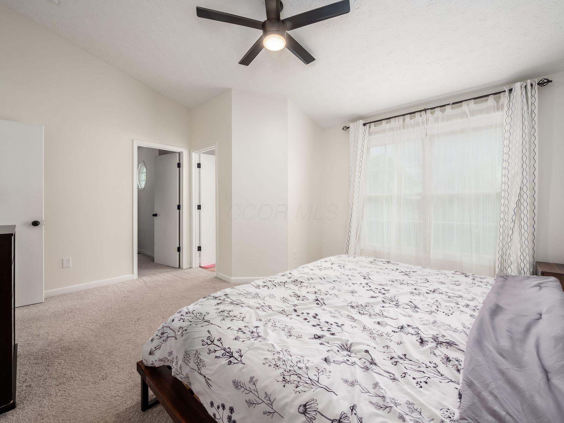 3523 Spring Branch Drive, Grove City, Ohio image 12