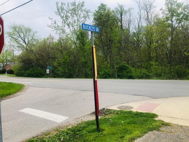 Dublin Road, Powell, Ohio image 5