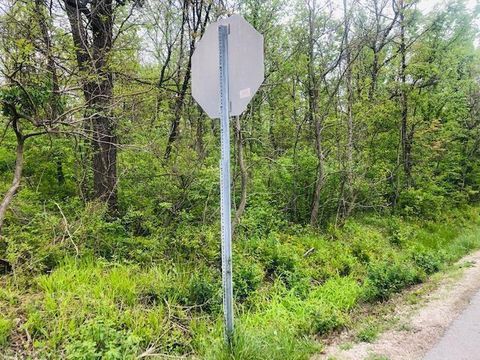 Photo of 0 Dublin Road, Powell, OH 43065 (MLS # 225011118)