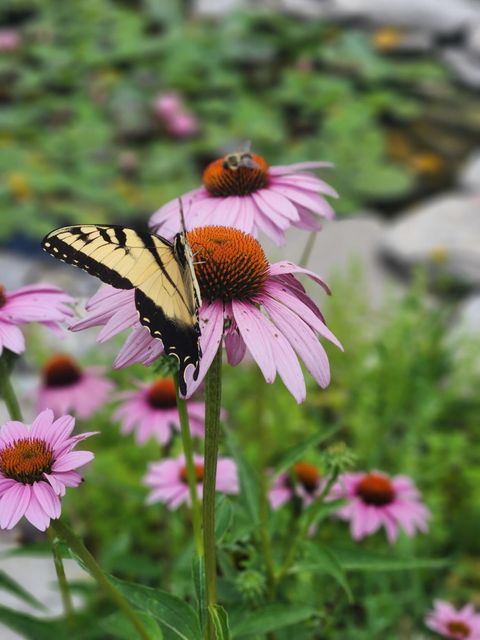 Tiny photo for 15338 Township Road 195, Kenton, OH 43326 (MLS # 226006512)