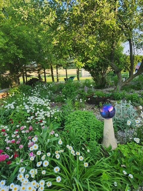 Tiny photo for 15338 Township Road 195, Kenton, OH 43326 (MLS # 226006512)