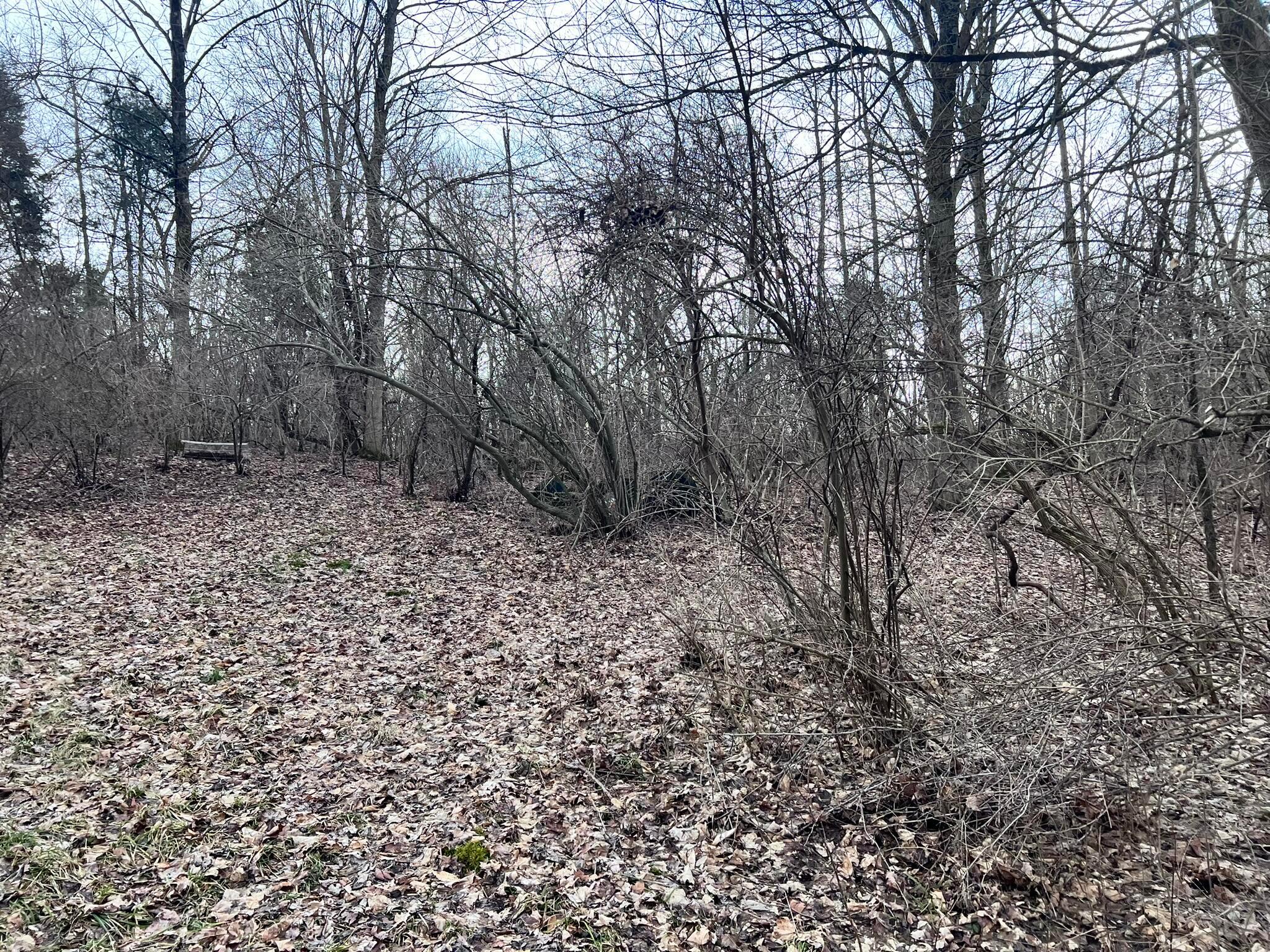 6250 Willowdale Road, Springfield, Ohio image 19