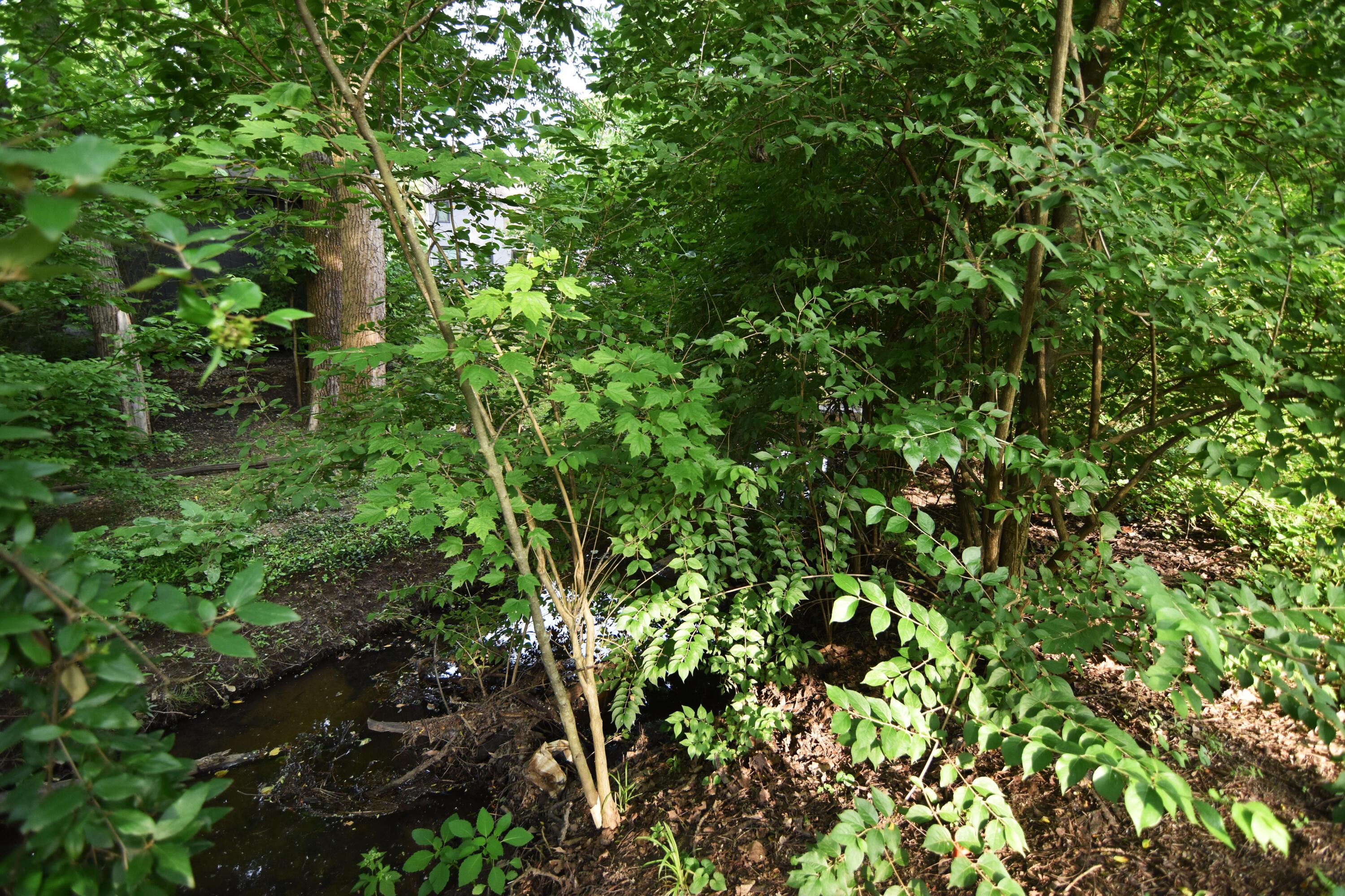 Westerville, Ohio 43081, United States, 4 Bedrooms Bedrooms, ,4 BathroomsBathrooms,Residential,Contingent,154374