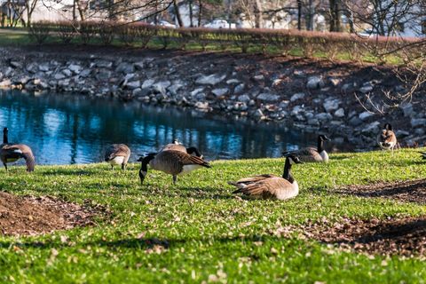 Tiny photo for 3384 Smileys 3384 #3384, Hilliard, OH 43026 (MLS # 225044262)