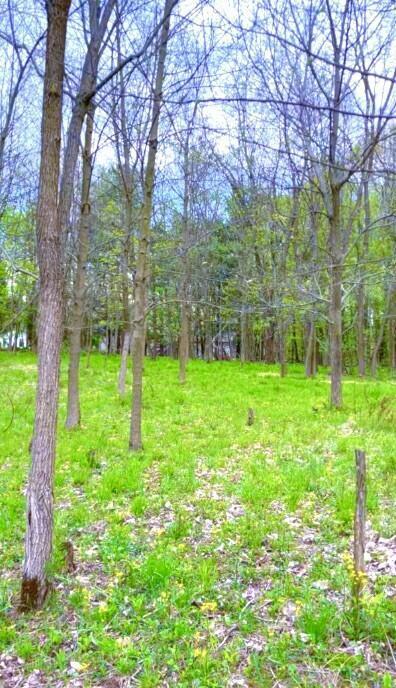 7326 State Route 19 #UNIT 7, LOTS 186-188, Mount Gilead, Ohio image 7