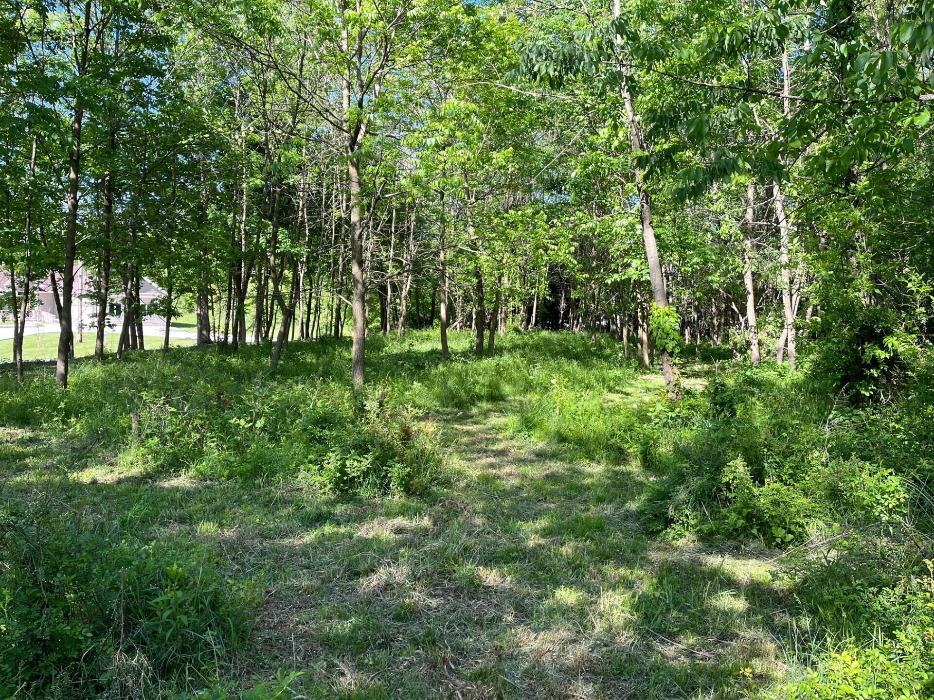 7326 State Route 19 #UNIT 7, LOTS 186-188, Mount Gilead, Ohio image 1