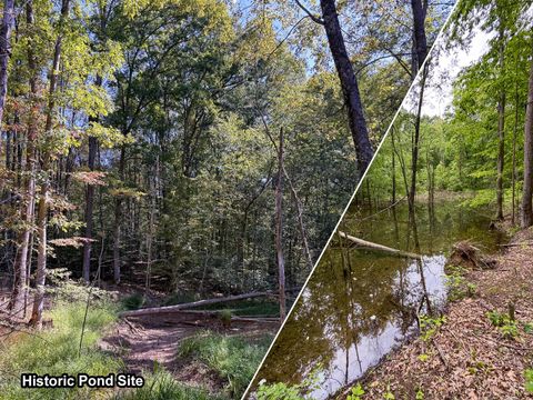 Photo of 0 Wolf Hill Road (Tract 6 Wolf Hill) #(Tract 6 Wolf Hill), Vinton, OH 45686 (MLS # 225036920) Photo of 0 Wolf Hill Road (Tract 6 Wolf Hill) #(Tract 6 Wolf Hill), Vinton, OH 45686 (MLS # 225036920)