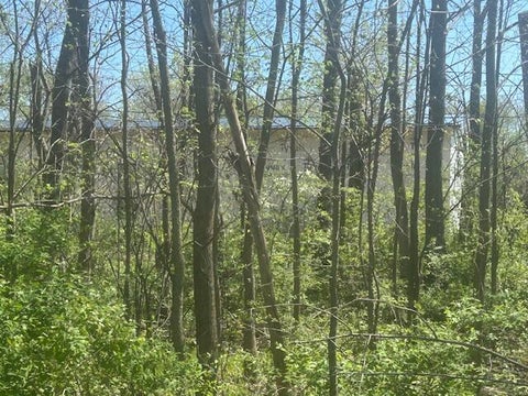 Photo for 0 Zanesville Avenue