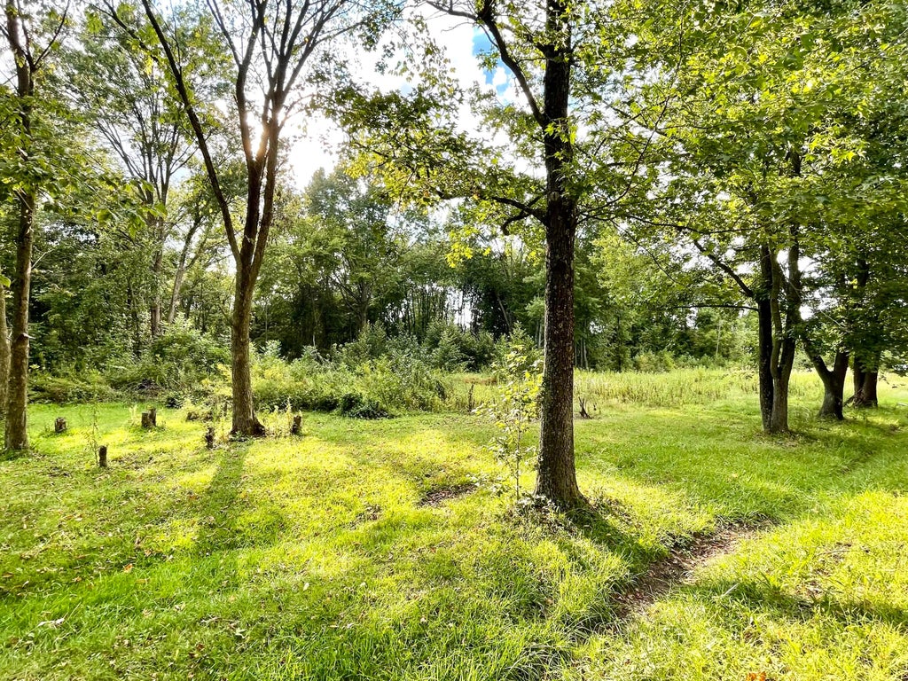 Photo of 0 Schleppi Road Lot 1 #Lot 1, New Albany, OH 43054 (MLS # 226034780)