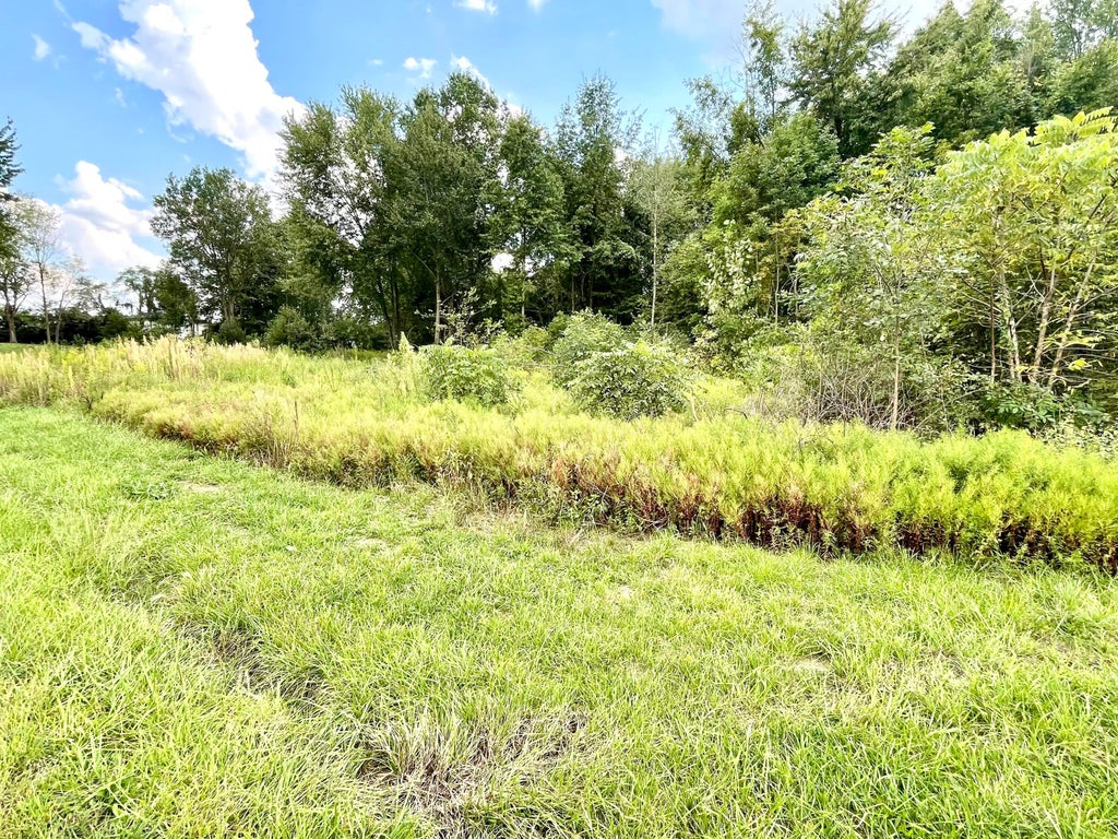 Photo of 0 Schleppi Road Lot 1 #Lot 1, New Albany, OH 43054 (MLS # 226034780)