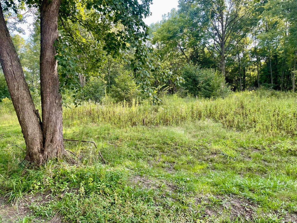 Photo of 0 Schleppi Road Lot 1 #Lot 1, New Albany, OH 43054 (MLS # 226034780)