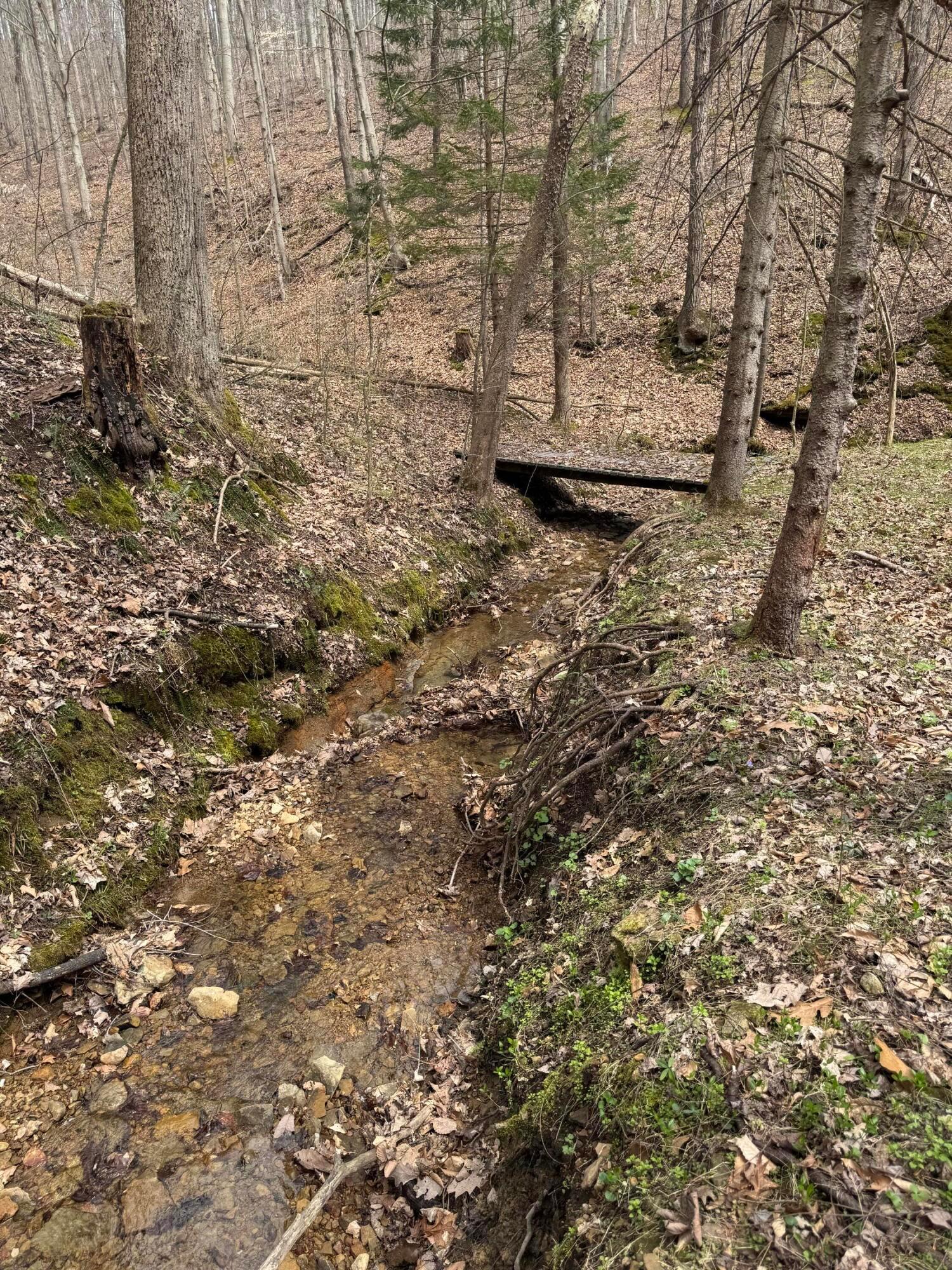 Bellia Road, Laurelville, Ohio image 7