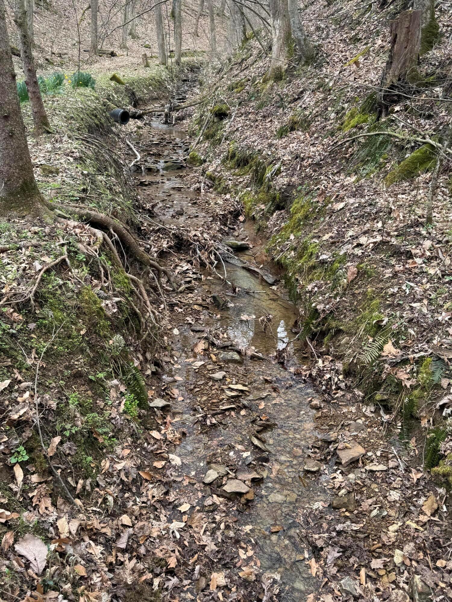 Bellia Road, Laurelville, Ohio image 27